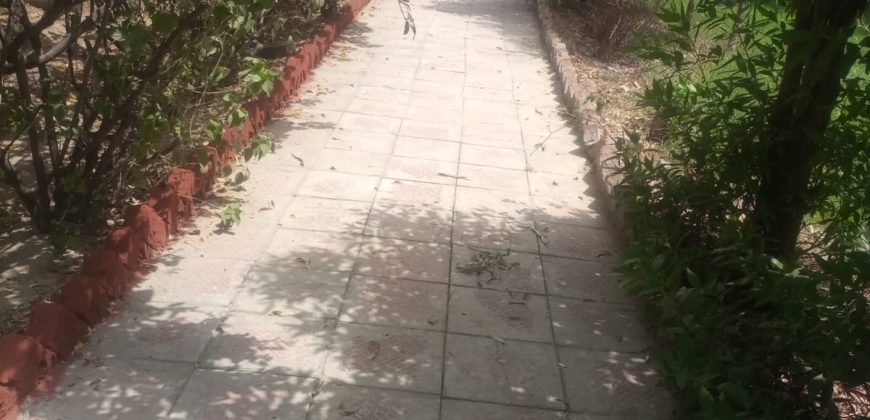 SWIMMING POOL GT ROAD 179