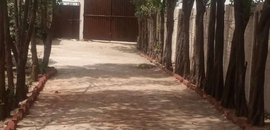 SWIMMING POOL GT ROAD 179