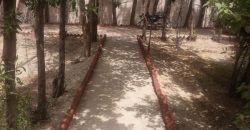 SWIMMING POOL GT ROAD 179