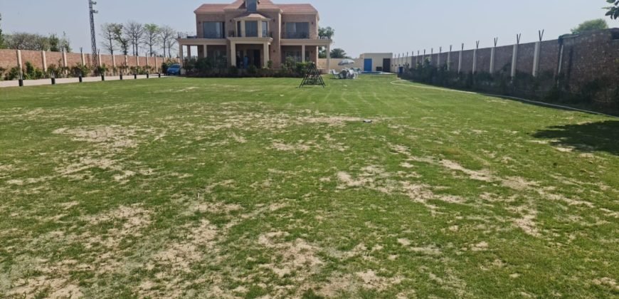 BEDIAN ROAD FARM HOUSE 49