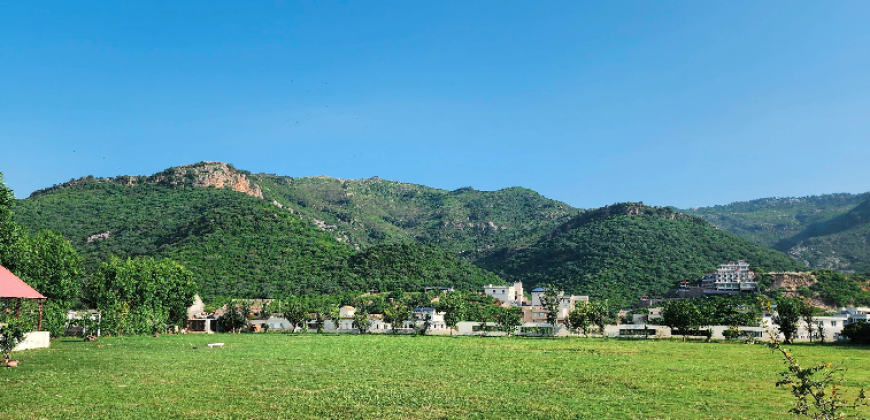 ISLAMABAD FARMHOUSE 271