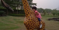 RAIWIND ROAD FARMHOUSE 304