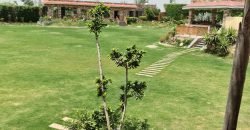 BARKI ROAD FARMHOUSE 169