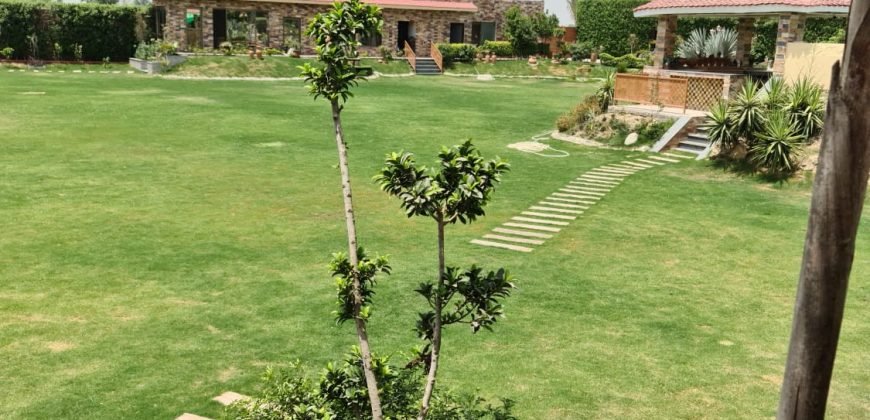 BARKI ROAD FARMHOUSE 169