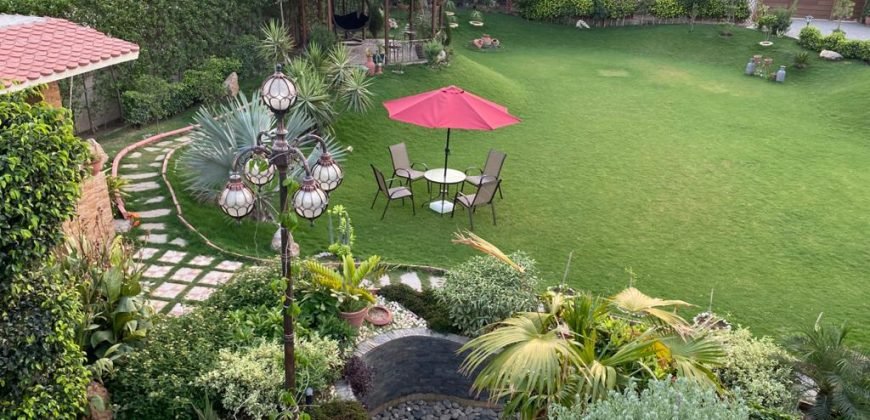 BARKI ROAD FARMHOUSE 169