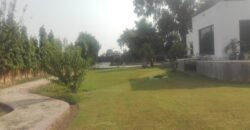 BEDIAN ROAD FARMHOUSE 11