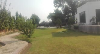 BEDIAN ROAD FARMHOUSE 11