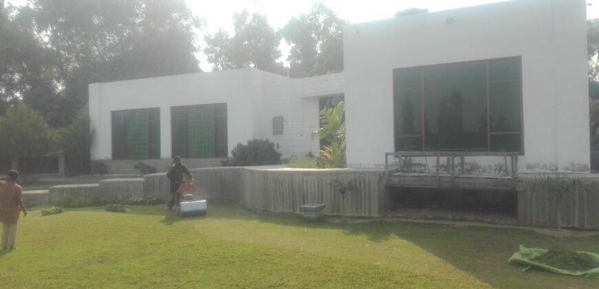 BEDIAN ROAD FARMHOUSE 11