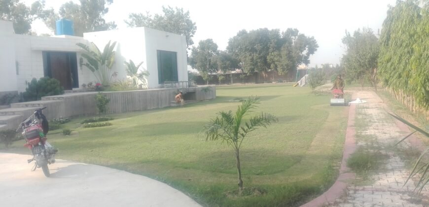 BEDIAN ROAD FARMHOUSE 11