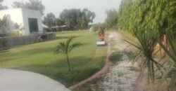 BEDIAN ROAD FARMHOUSE 11