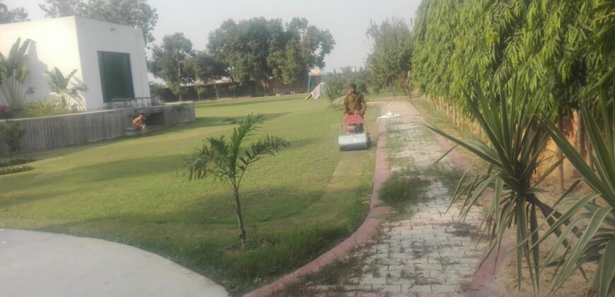 BEDIAN ROAD FARMHOUSE 11