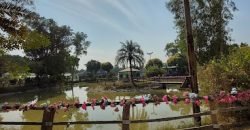 SWIMMING POOL RAIWIND ROAD 30