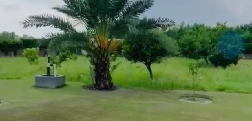 BEDIAN ROAD FARRMHOUSE 269