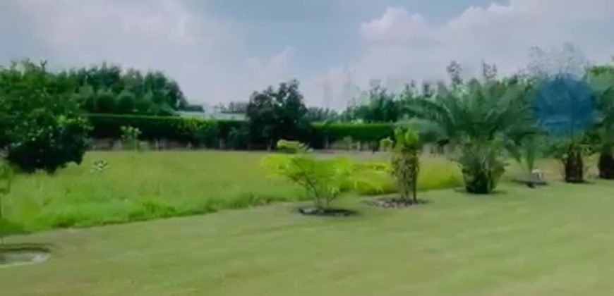 BEDIAN ROAD FARRMHOUSE 269