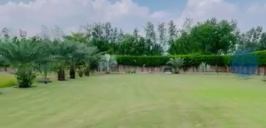 BEDIAN ROAD FARRMHOUSE 269