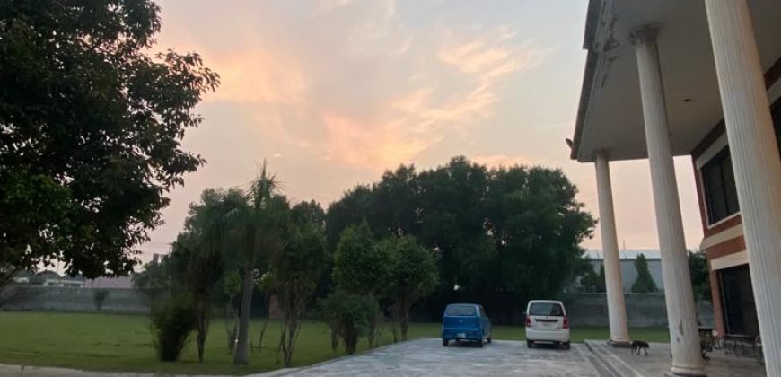 JOHAR TOWN FARMHOUSE  249