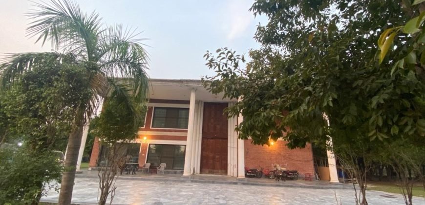 VALENCIA FARMHOUSE 72