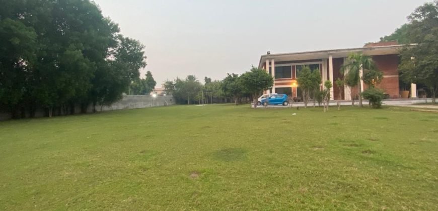 JOHAR TOWN FARMHOUSE  249