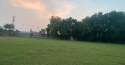 JOHAR TOWN FARMHOUSE  249