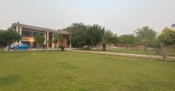 JOHAR TOWN FARMHOUSE  249