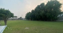 JOHAR TOWN FARMHOUSE  249