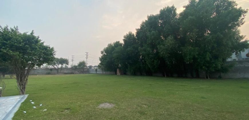 JOHAR TOWN FARMHOUSE  249