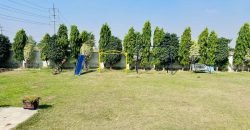 SWIMMING POOL BAHRIA TOWN 85