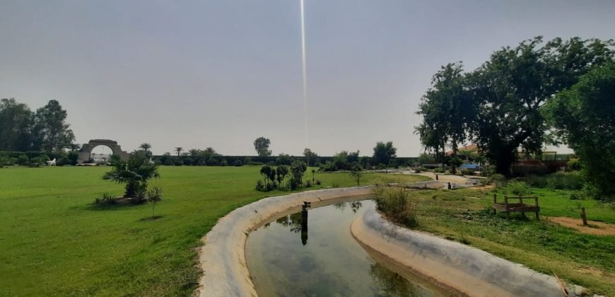 BEDIAN ROAD FARM HOUSE 86