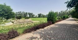 BEDIAN ROAD FARM HOUSE 86