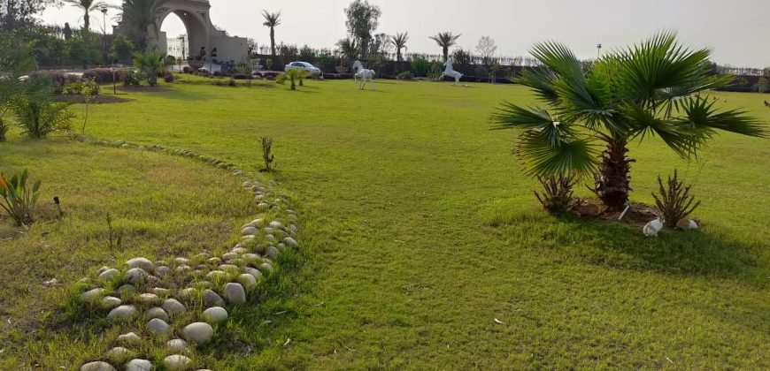 BEDIAN ROAD FARM HOUSE 86