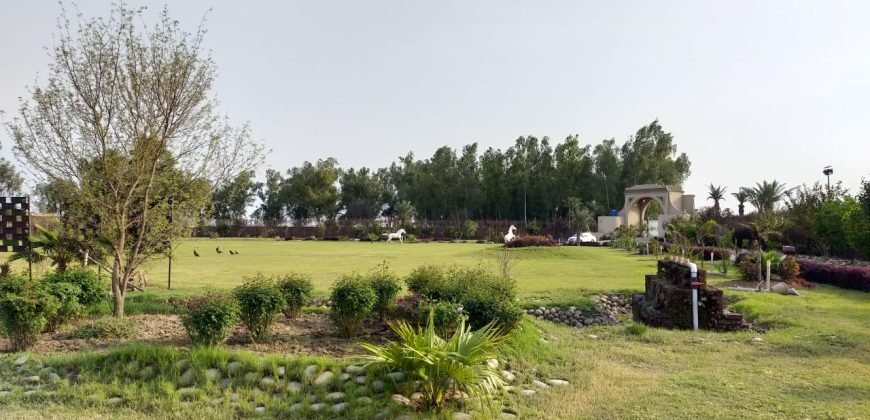 BEDIAN ROAD FARM HOUSE 86