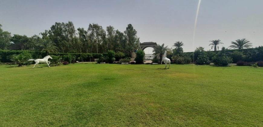 BEDIAN ROAD FARM HOUSE 86