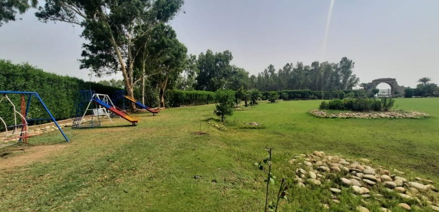 BEDIAN ROAD FARM HOUSE 86