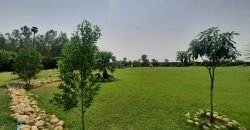 BEDIAN ROAD FARM HOUSE 86