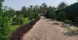 BEDIAN ROAD FARM HOUSE 86