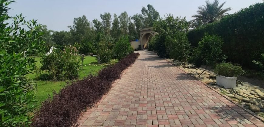 BEDIAN ROAD FARM HOUSE 86