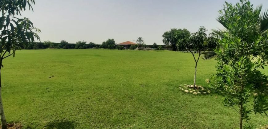 BEDIAN ROAD FARM HOUSE 86