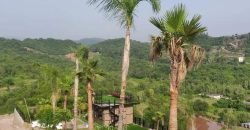 ISLAMABAD RESORT 207