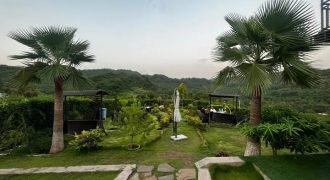 ISLAMABAD RESORT 207