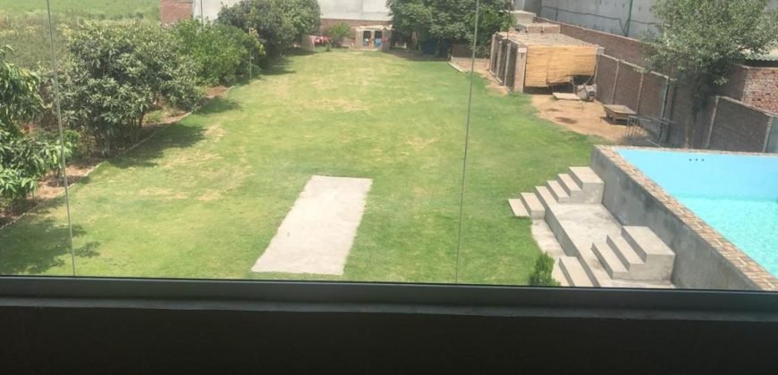 SWIMMING POOL SHADARA 60