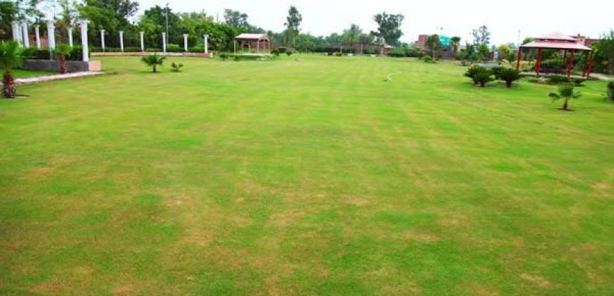 BEDIAN ROAD FARMHOUSE 19