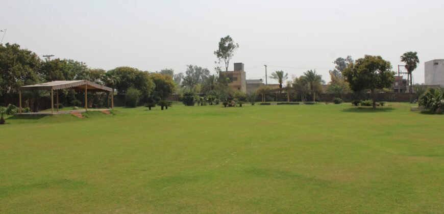 BEDIAN ROAD FARMHOUSE 19