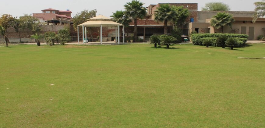 BEDIAN ROAD FARMHOUSE 19