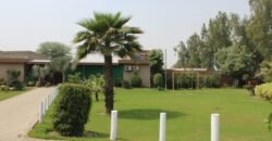 BEDIAN ROAD FARMHOUSE 19