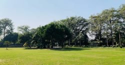 RAIWIND ROAD FARMHOUSE 52