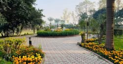 RAIWIND ROAD FARMHOUSE 52