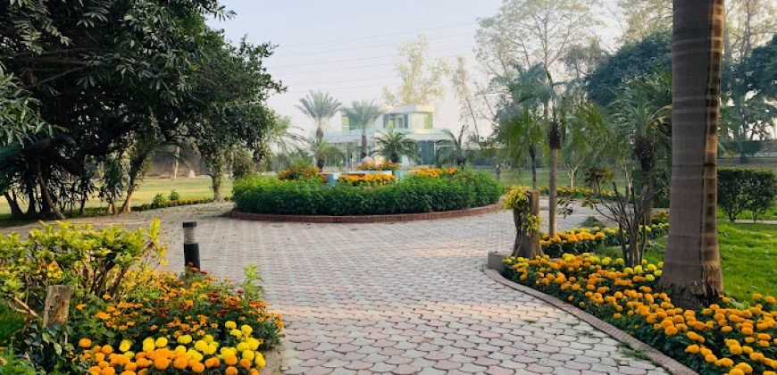 RAIWIND ROAD FARMHOUSE 52