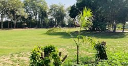 RAIWIND ROAD FARMHOUSE 52