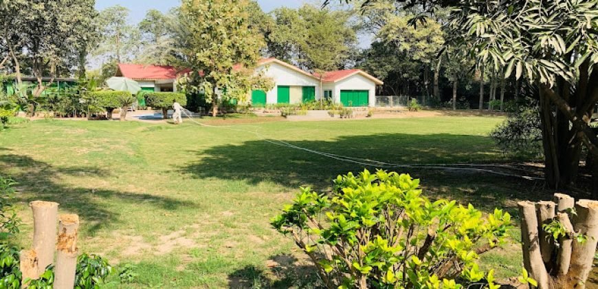 RAIWIND ROAD FARMHOUSE 52