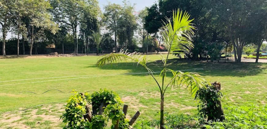 RAIWIND ROAD FARMHOUSE 52